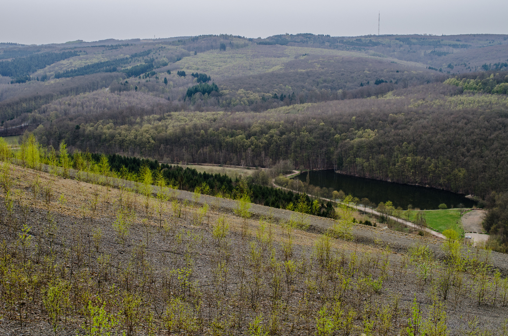 Blick von der Halde Lydia Camphausen über den Saarkohlenwald