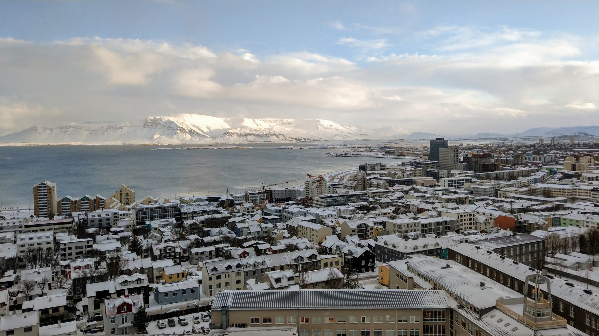 Blick von der Hallgrímskirkja über Reykjavík (1)