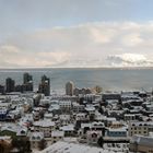 Blick von der Hallgrímskirkja über Reykjavík (2)