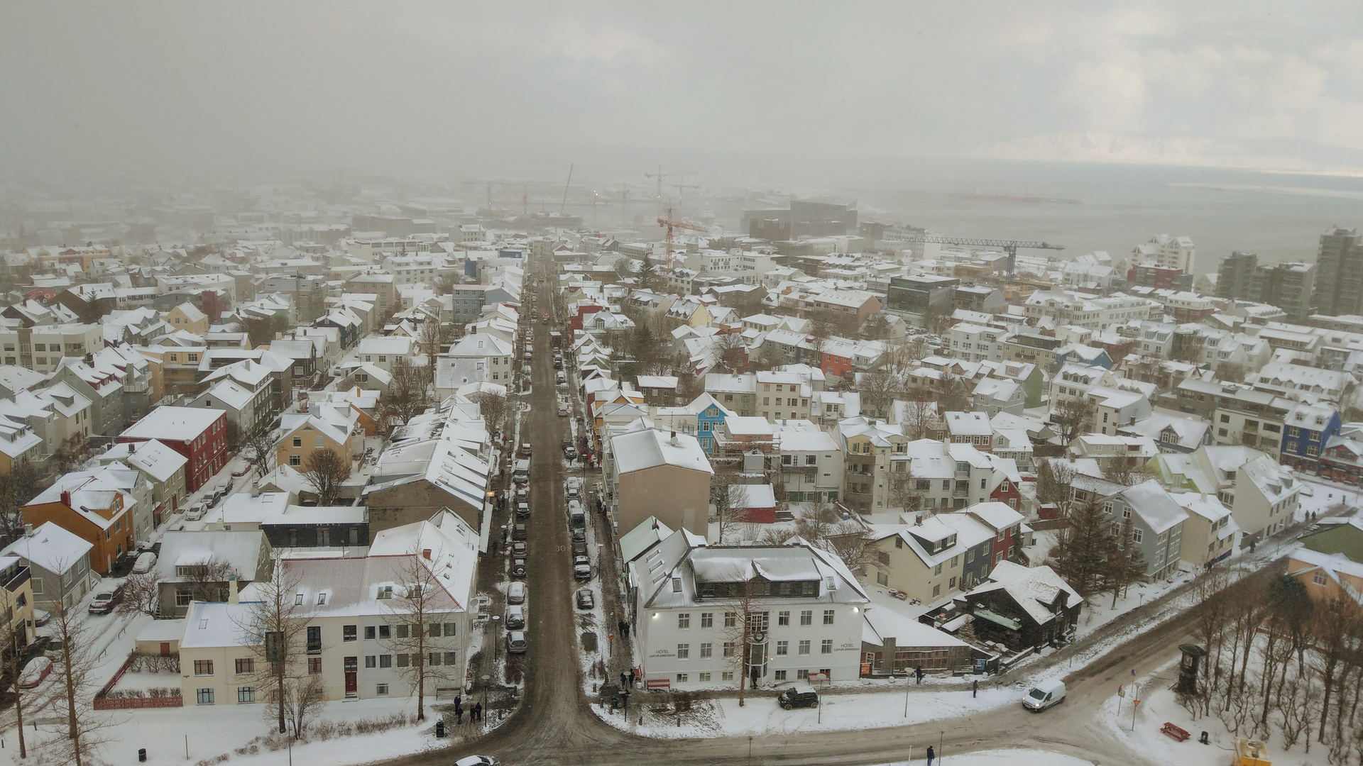 Blick von der Hallgrímskirkja über Reykjavík (3)