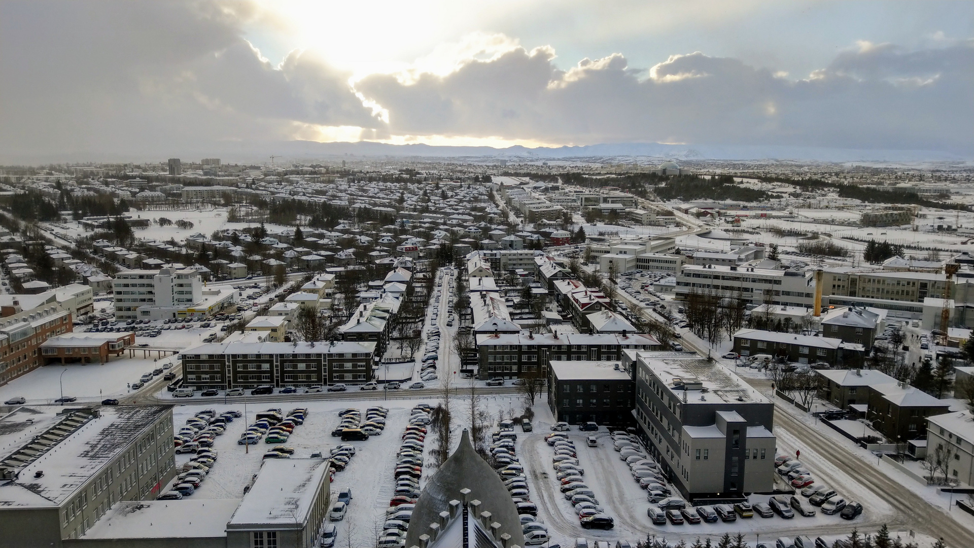 Blick von der Hallgrímskirkja über Reykjavík (4)