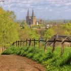 Blick von der Hees auf Xanten