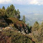 Blick von der herbstlichen Seiser Alm ins Tal