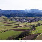 Blick von der Hochburg nach Sexau