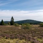 Blick von der Hochheide zum Ettelsberg