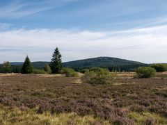 Blick von der Hochheide zum Ettelsberg