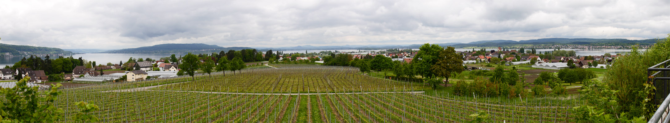 Blick von der Hochwarth auf der Reichenau