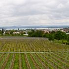 Blick von der Hochwarth auf der Reichenau