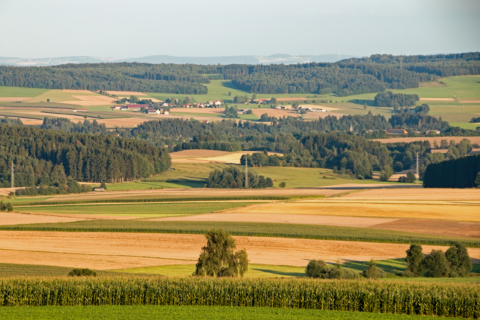 Blick von der Hohen Warte