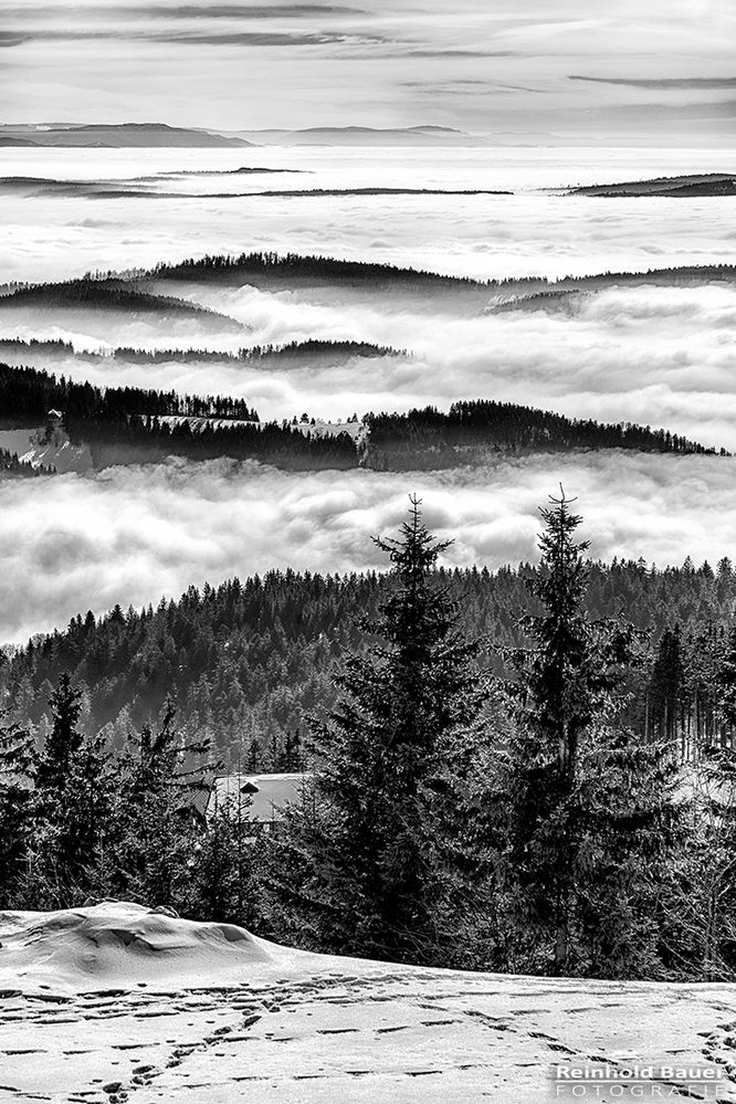 Blick von der Honisgrinde Richtung Süden