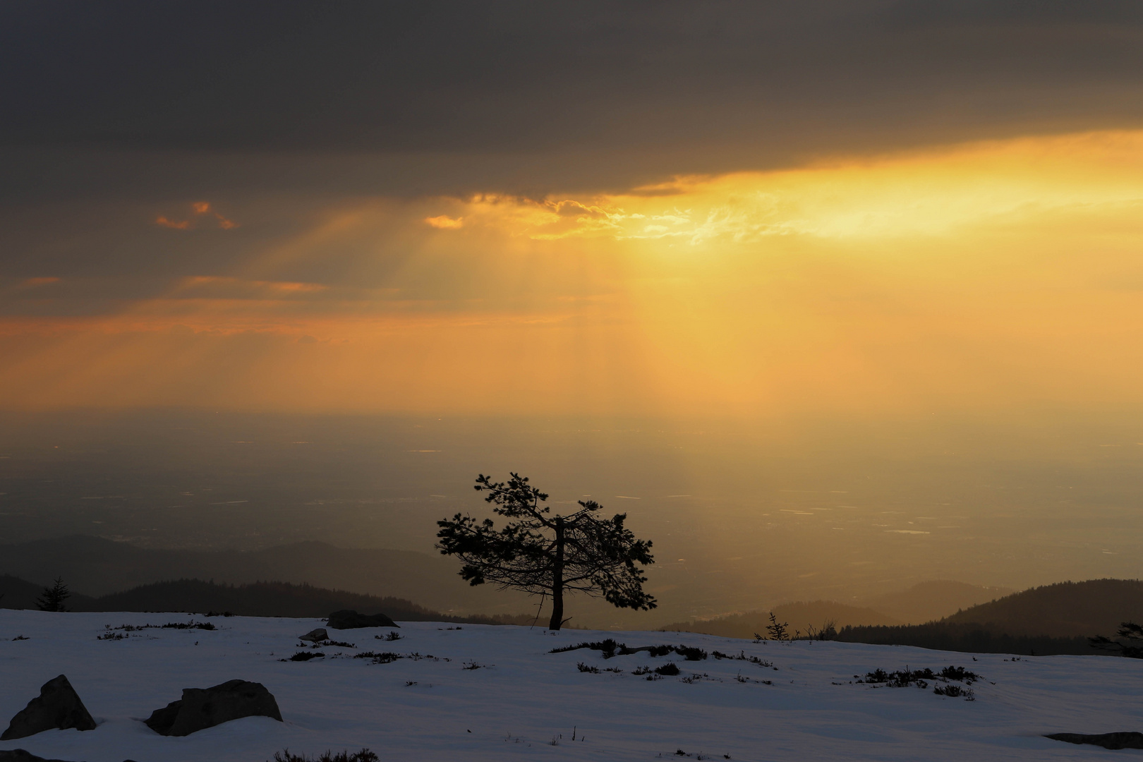 Blick von der Hornisgrinde