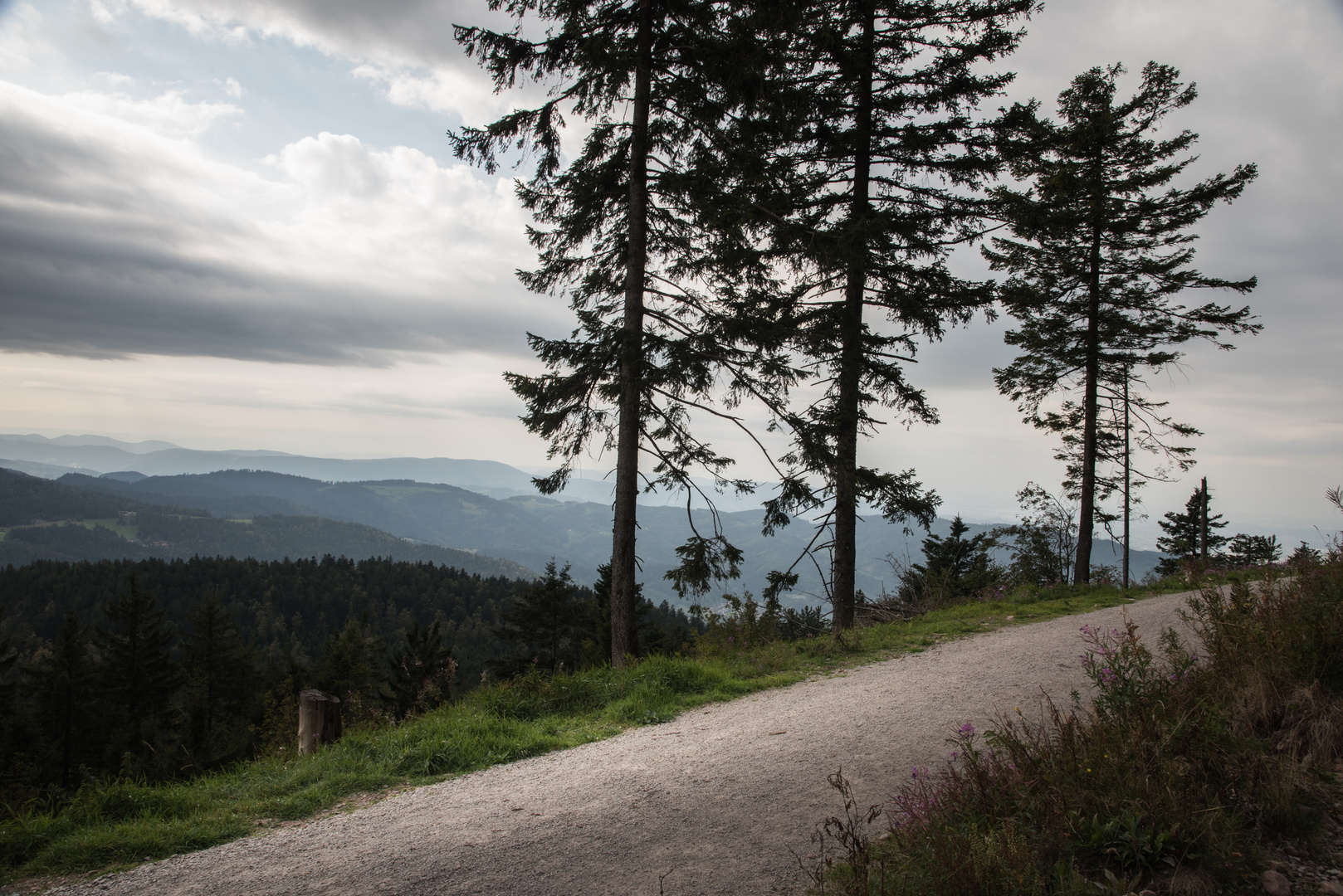 Blick von der Hornisgrinde