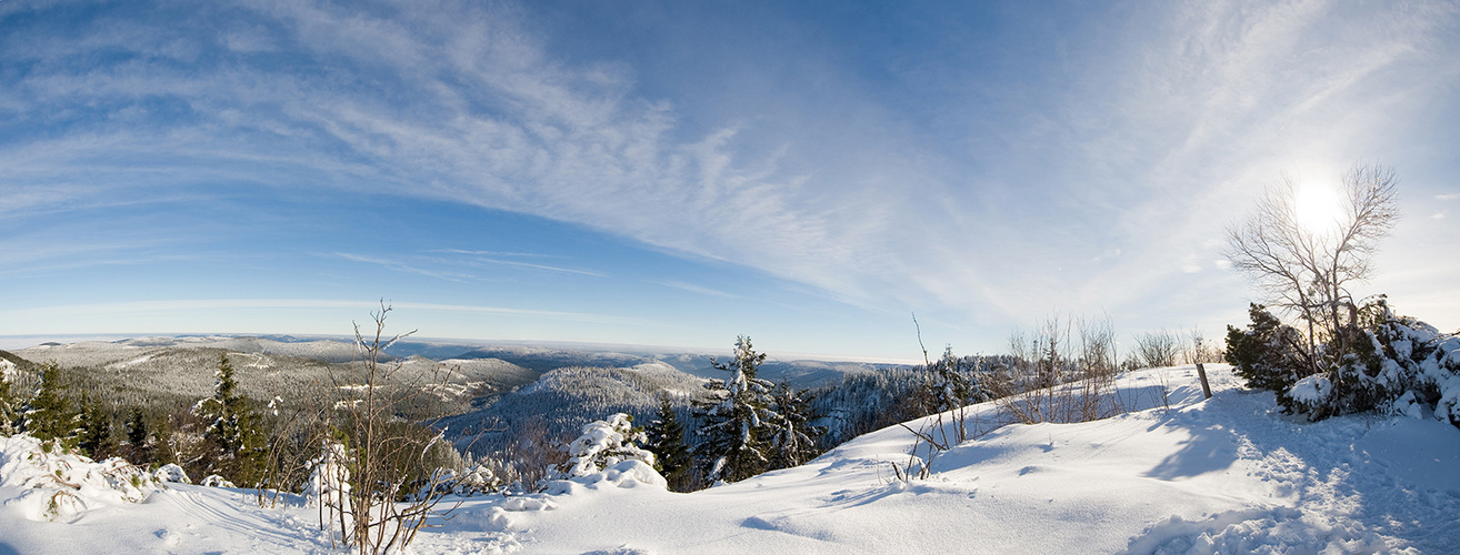 Blick von der Hornisgrinde