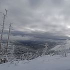 Blick von der Hornisgrinde