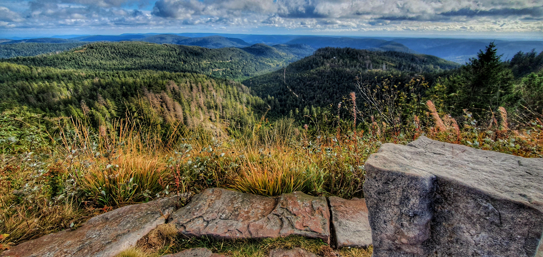 Blick von der Hornisgrinde in den Schwarzwald 