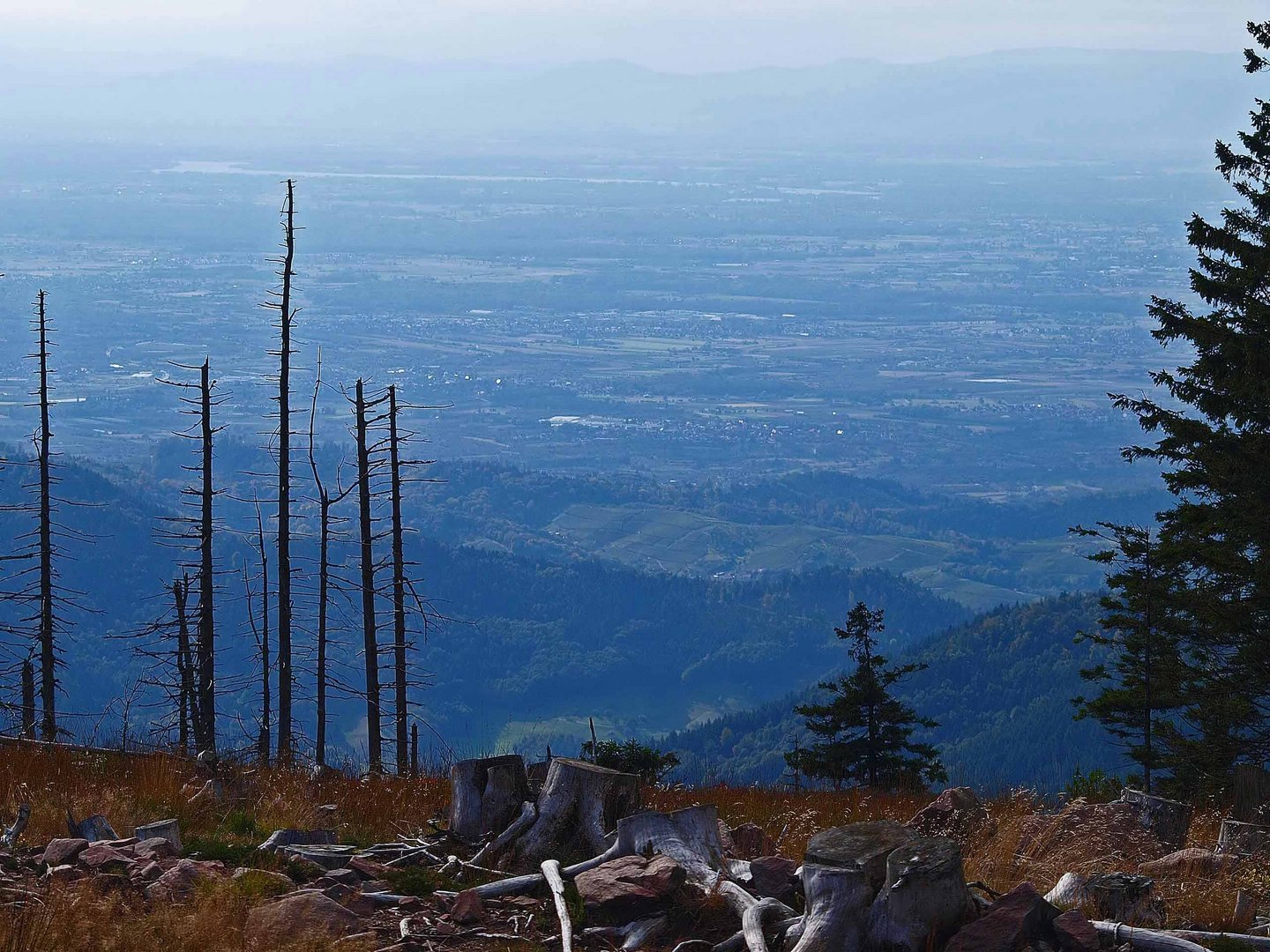 Blick von der Hornisgrinde ins Rheintal