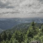 Blick von der Hornisgrinde (Nordschwarzwald)