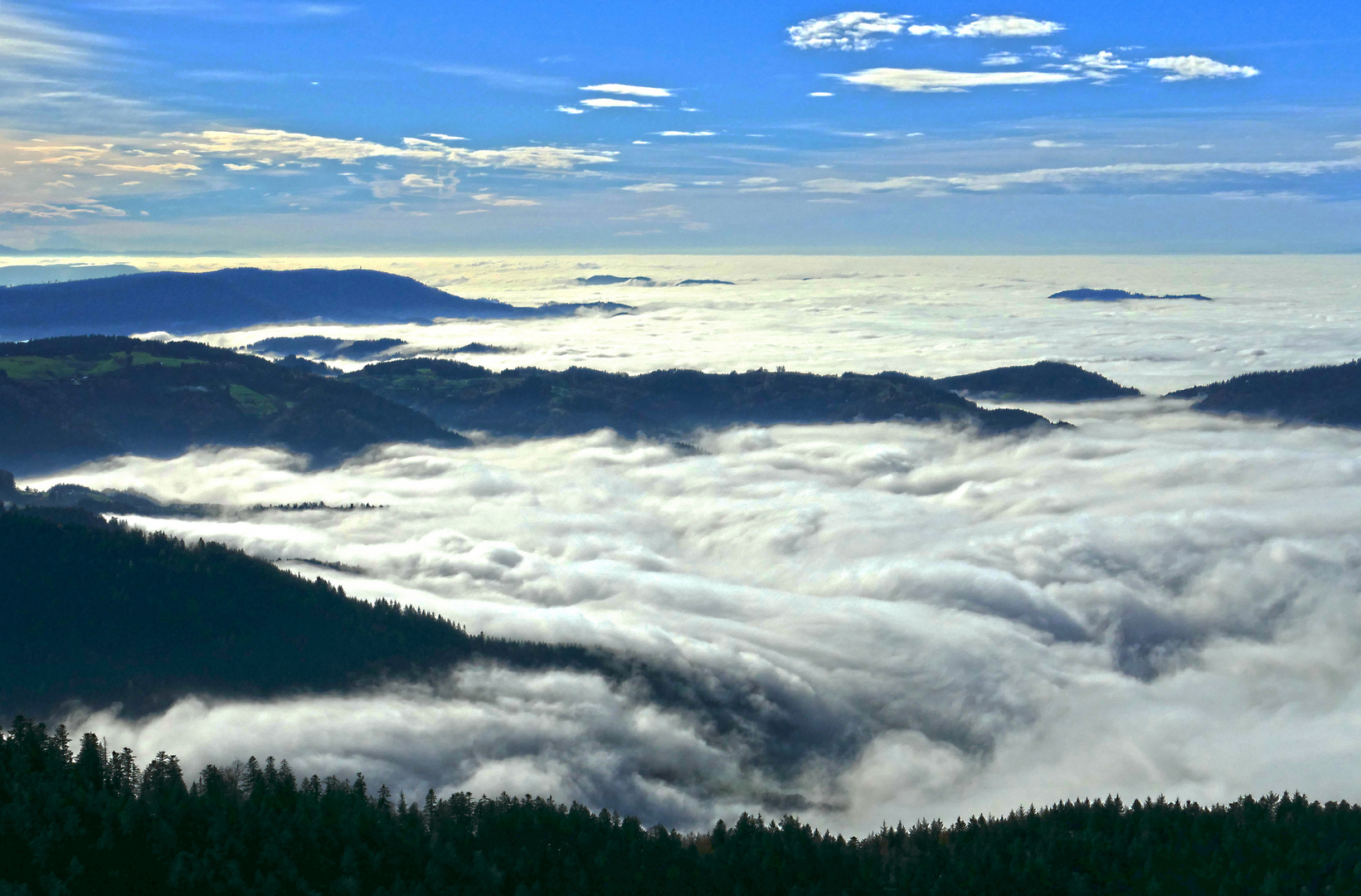 Blick von der Hornisgrinde/Schwarzwald