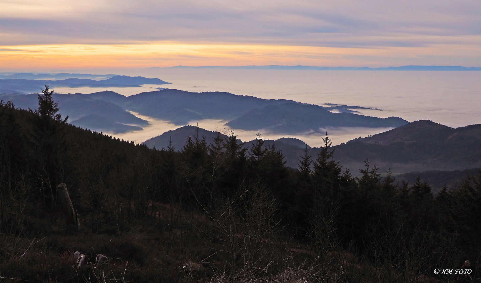 Blick von der Hornisgrinde/Schwarzwald übers Rheintal