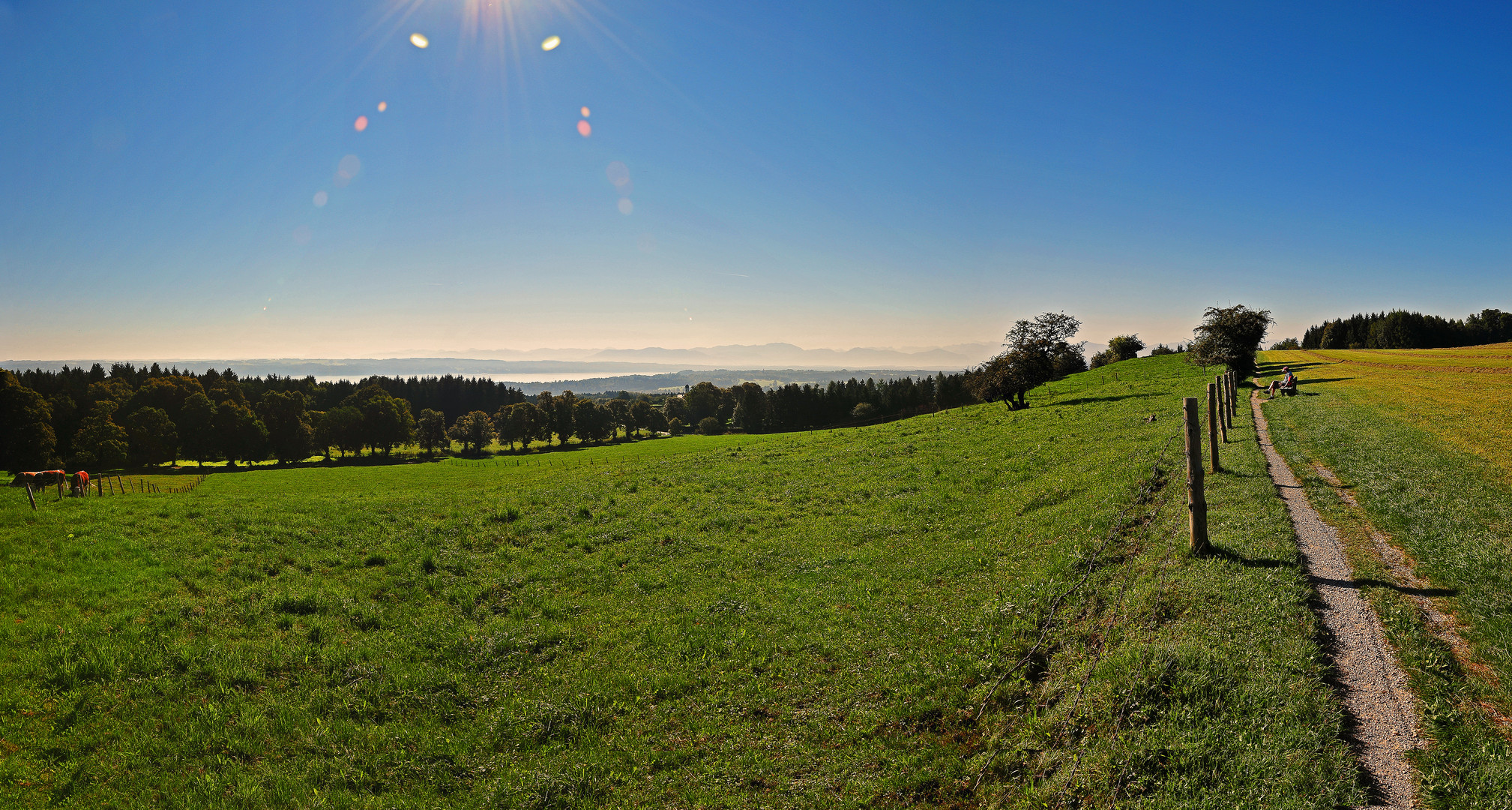 Blick von der Ilka-Höhe auf den Starnberger See und die Alpen