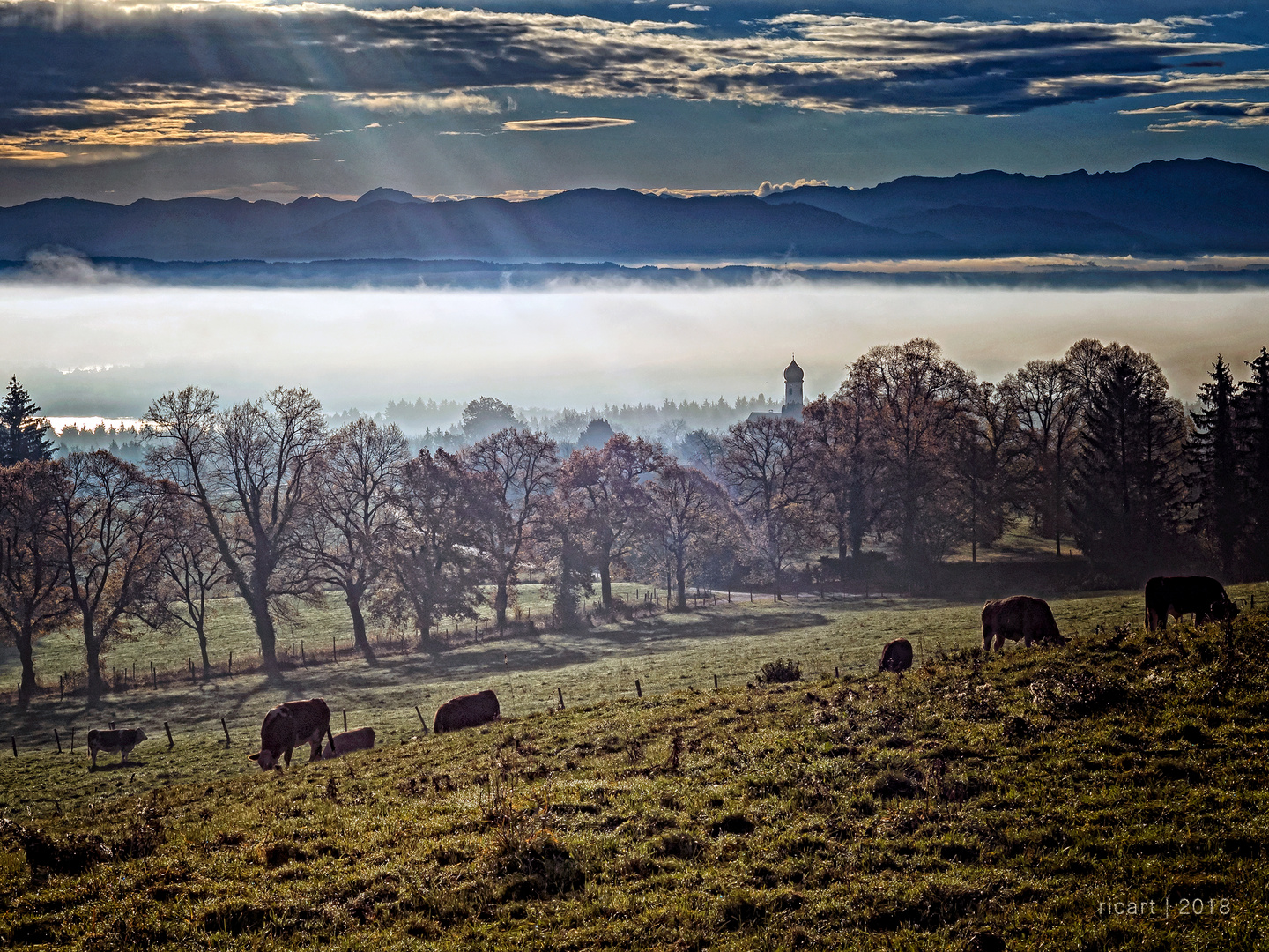 Blick von der Ilkahöhe über den Starnberger See