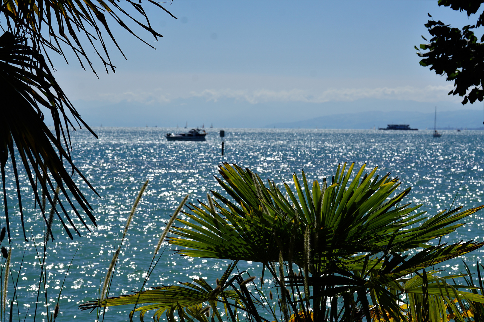 Blick von der Insel Mainau auf dem Bodensee