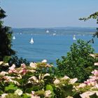 Blick von der Insel Mainau....