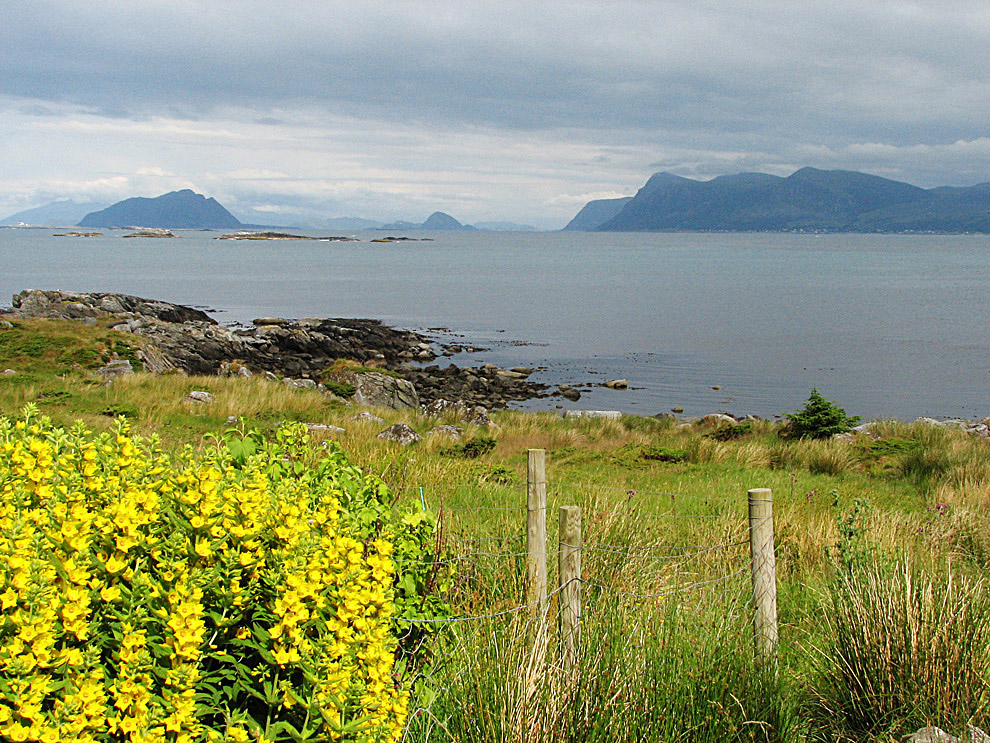 Blick von der Insel Runde