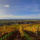 Blick von der Johanniskapelle über Staufen hinweg in die Rheinebene