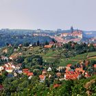 Blick von der Juchhöh auf Meißen (2)