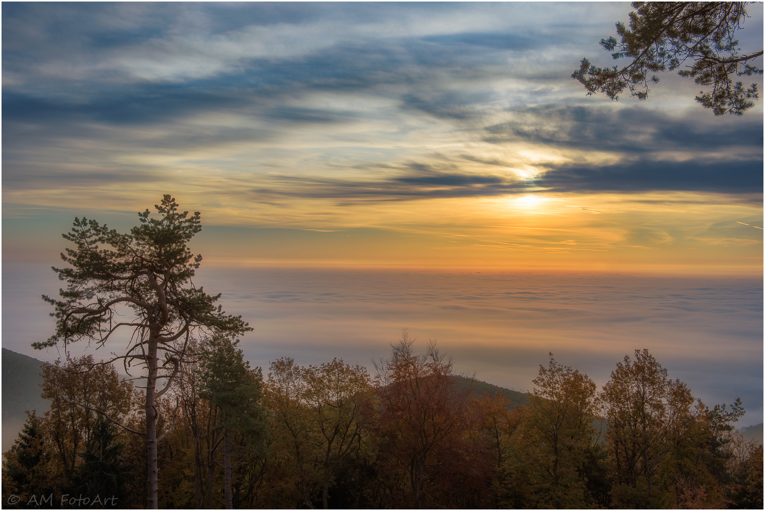 Blick von der Kalmit 1