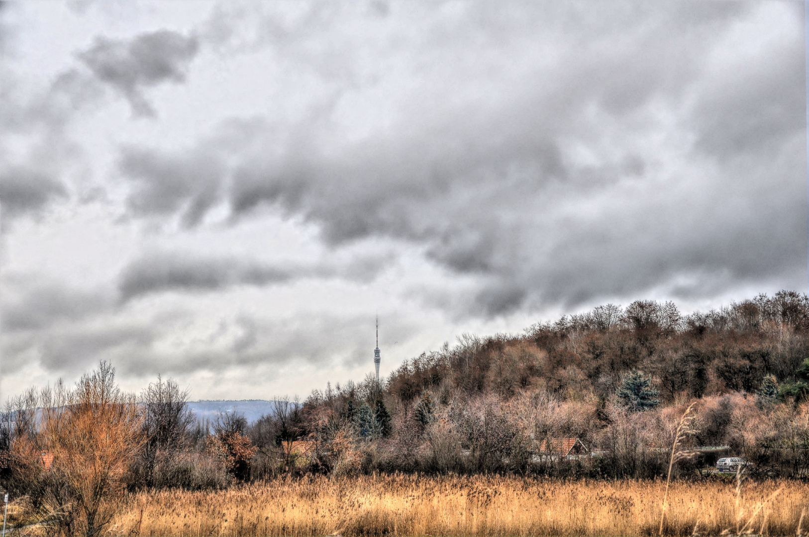 Blick von der Kiesgrube Leuben in Richtung des Frensehturms