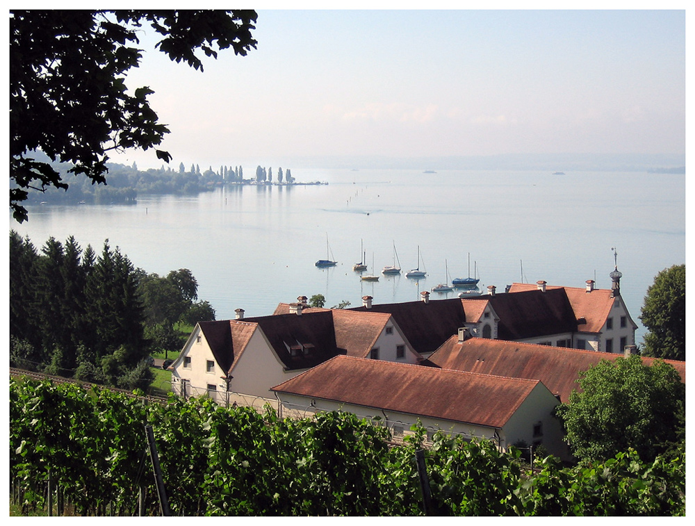 Blick von der Kirche Birnau hinunter ...