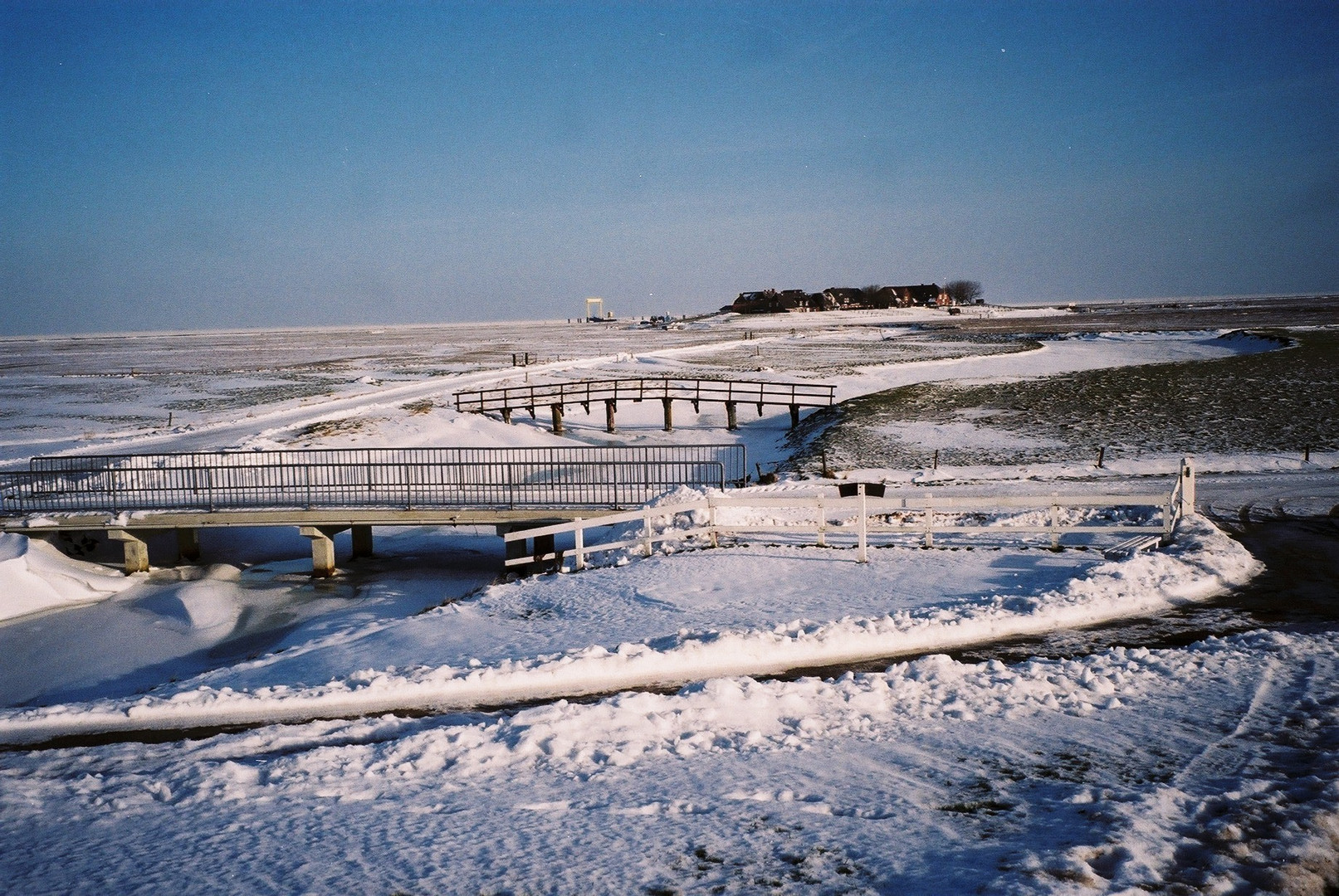 Blick von der Kirchwarft auf die Backenswarft (Hallig Hooge)