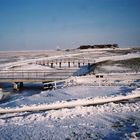 Blick von der Kirchwarft auf die Backenswarft (Hallig Hooge)