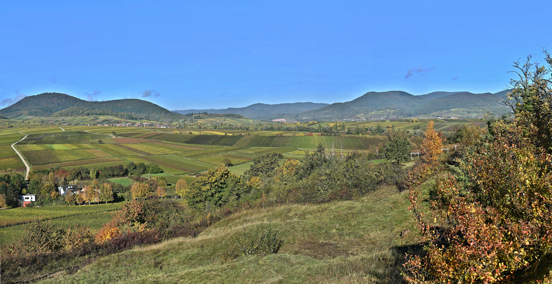 Blick von der Kleinen Kalmit