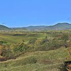 Blick von der Kleinen Kalmit