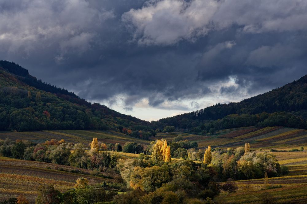 Blick von der Kleinen Kalmit