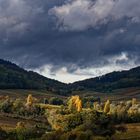 Blick von der Kleinen Kalmit