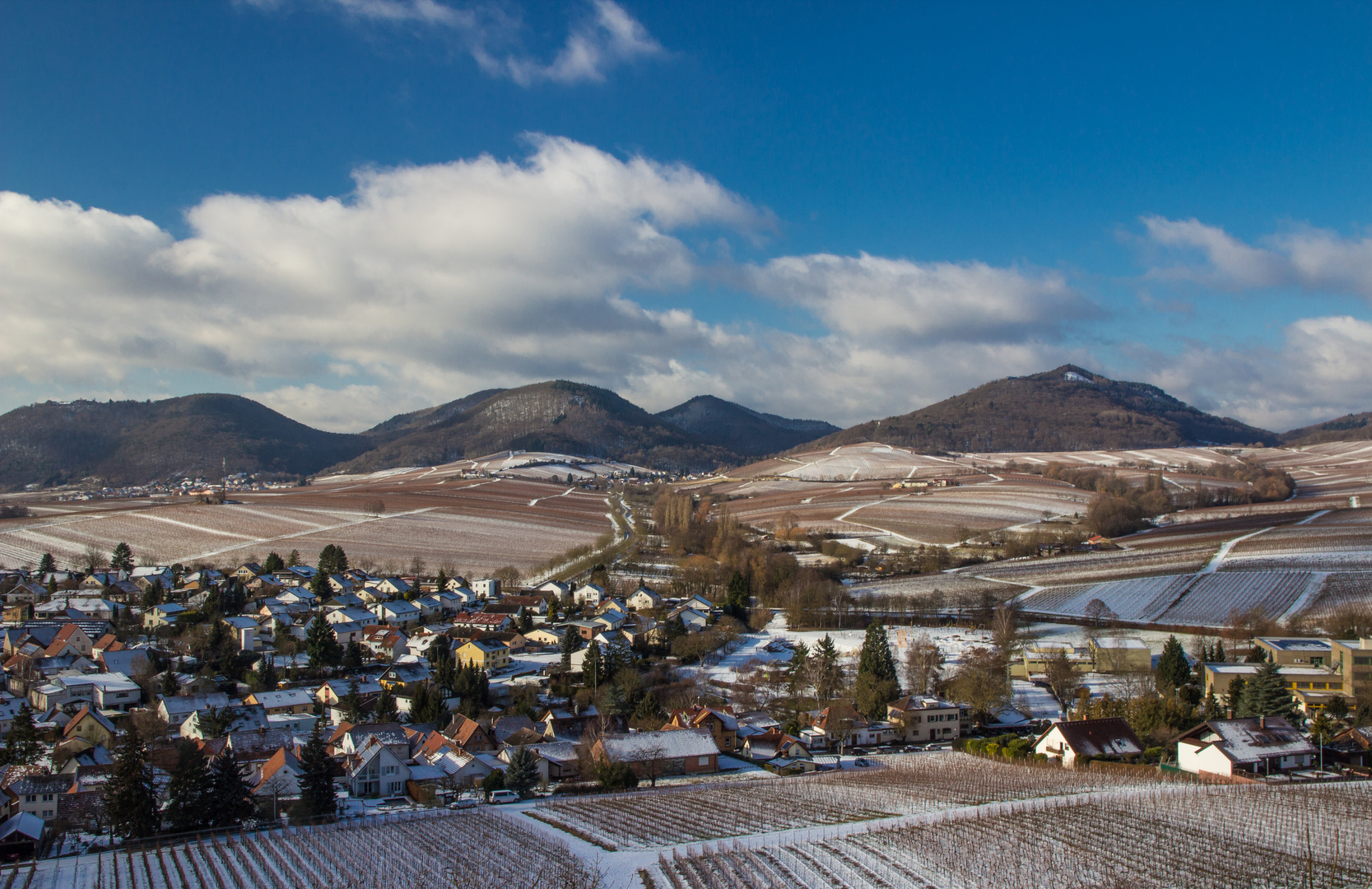 Blick von der Kleinen Kalmit im Winter