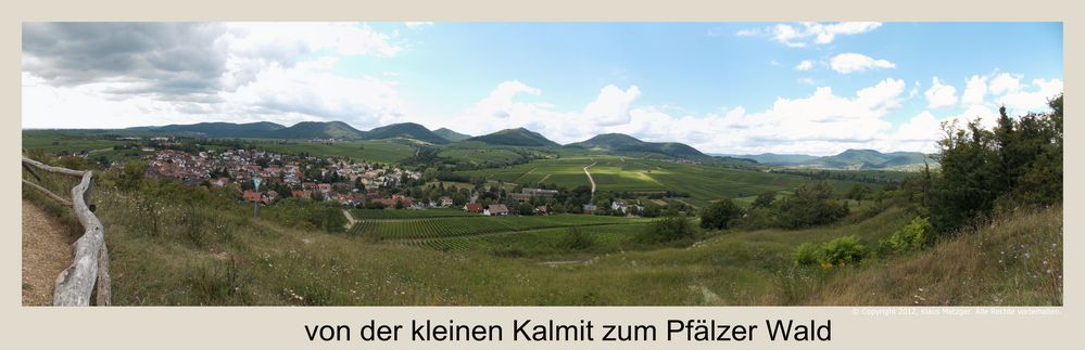 Blick von der Kleinen Kalmit zum Pfälzer Wald