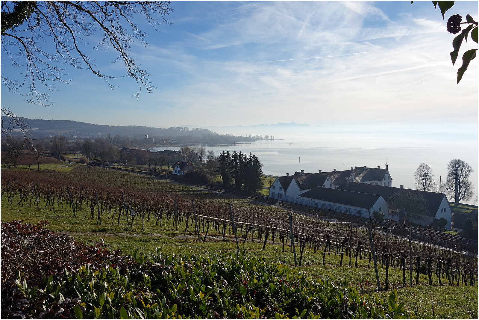 Blick von der Klosterkirche Birnau über den Bodensee, Dreikönig 2014