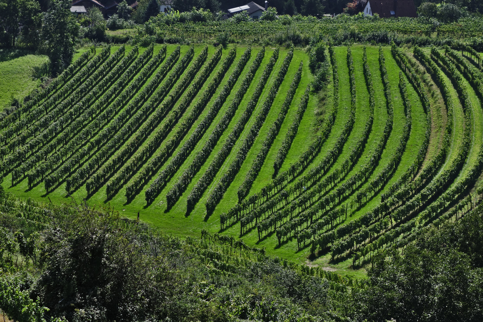 Blick von der Korkenzieher Warte 1