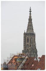 Blick von der Kornhausbrücke zum Berner Münster