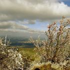 Blick von der Lausche