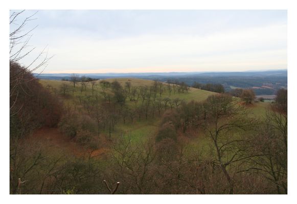 Blick von der Leuchtenburg (Thüringen) 1