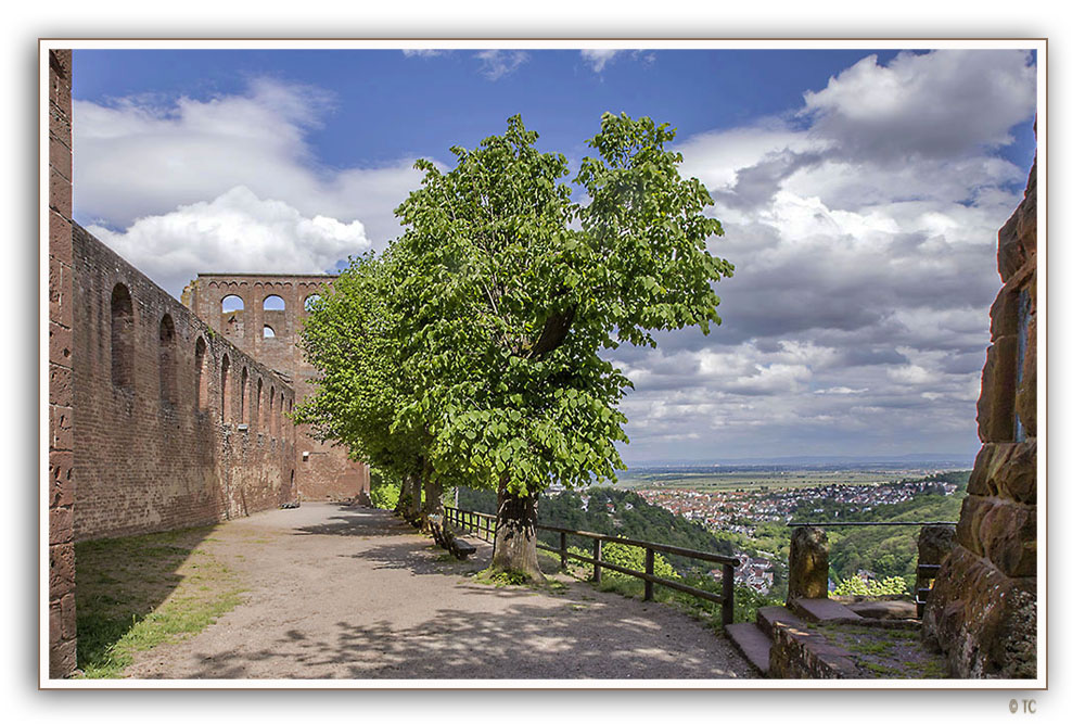 BLICK VON DER LIMBURG