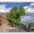 BLICK VON DER LIMBURG