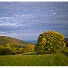 Blick von der Lippe ins Buchhellertal