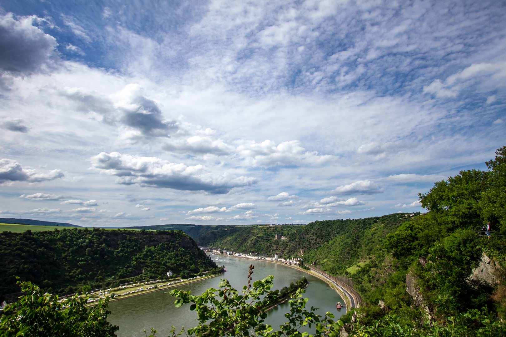 Blick von der Loreley